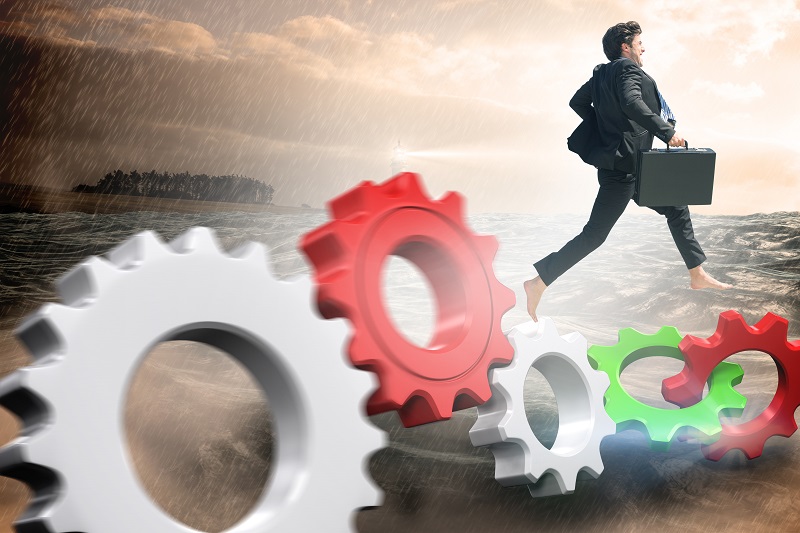 Agility: Business Owners' Survival Superpower in 4 steps