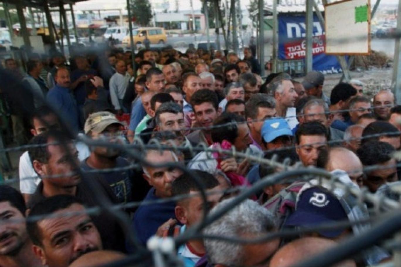 هل نجح الاحتلال الإسرائيلي في إحلال العمالة الأجنبية محل العمالة الفلسطينية؟
