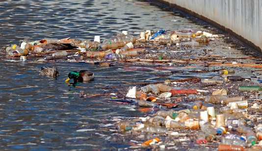 صورة المقال