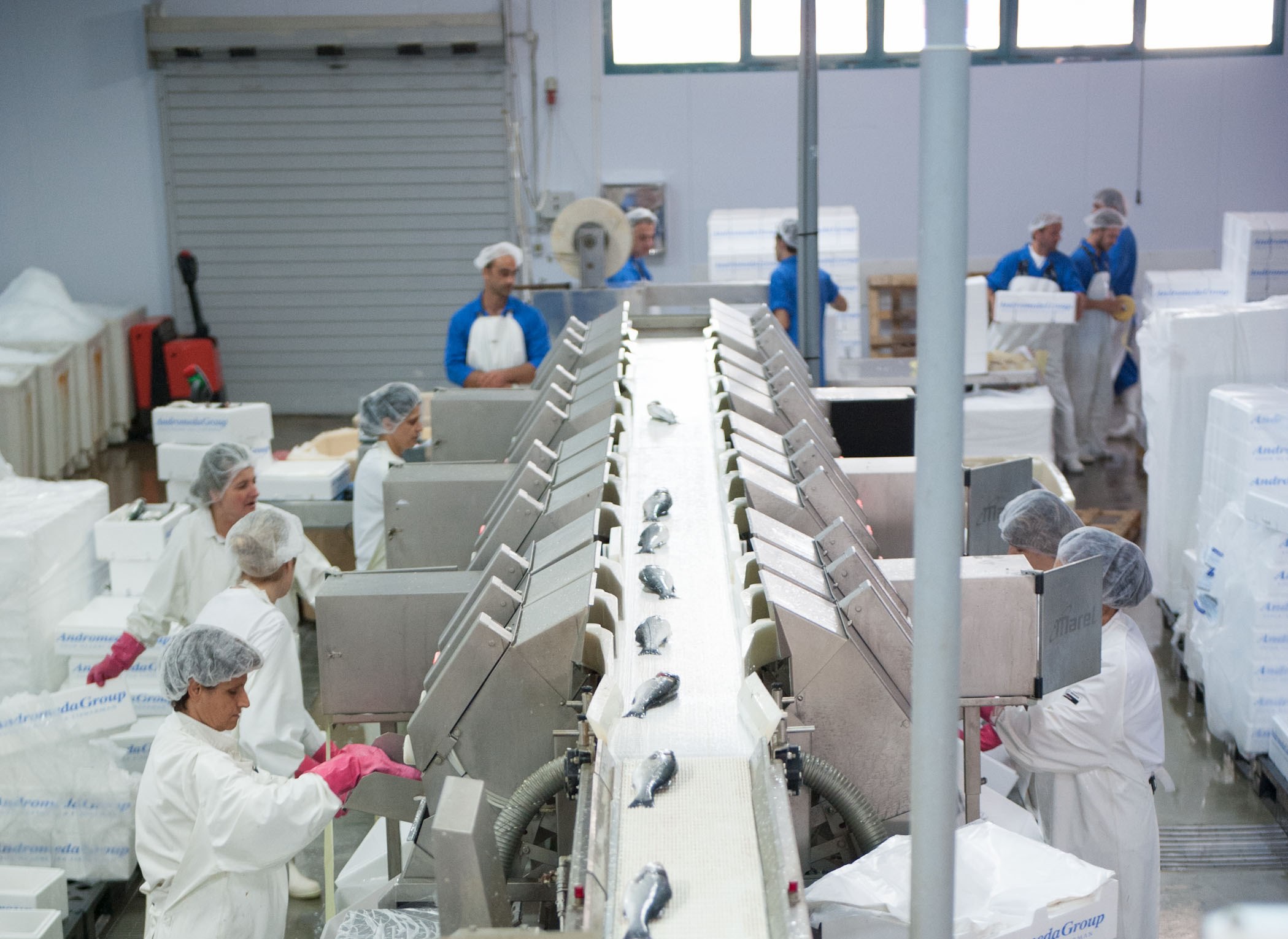 صورة المقال