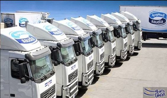 صورة المقال