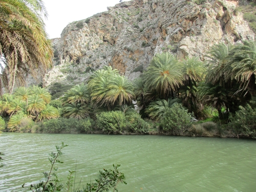 صورة المقال