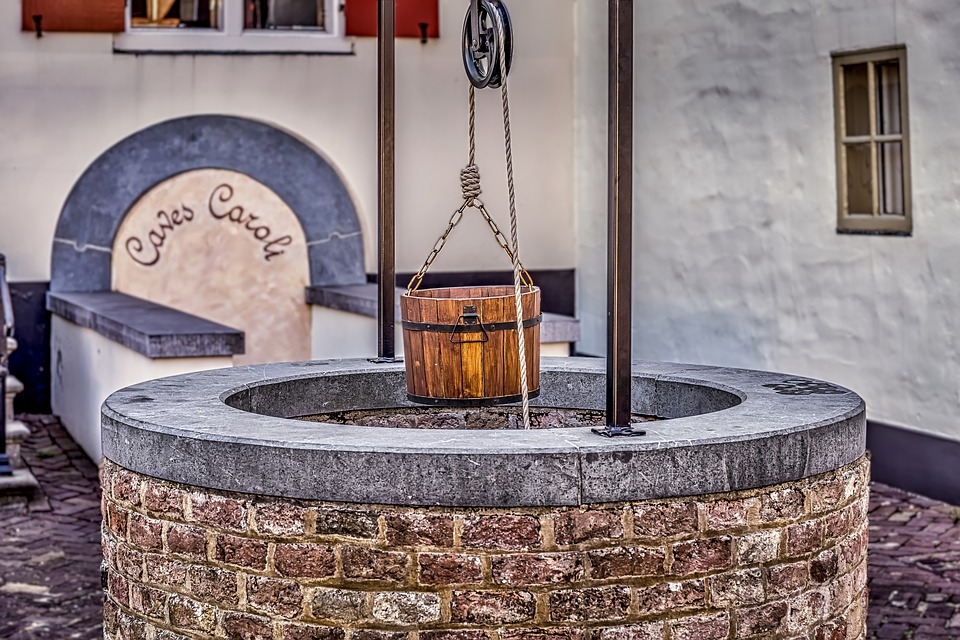 صورة المقال