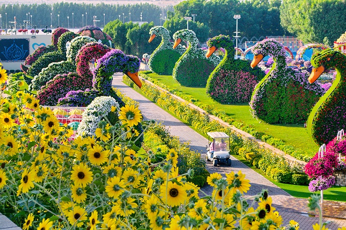 صورة المقال