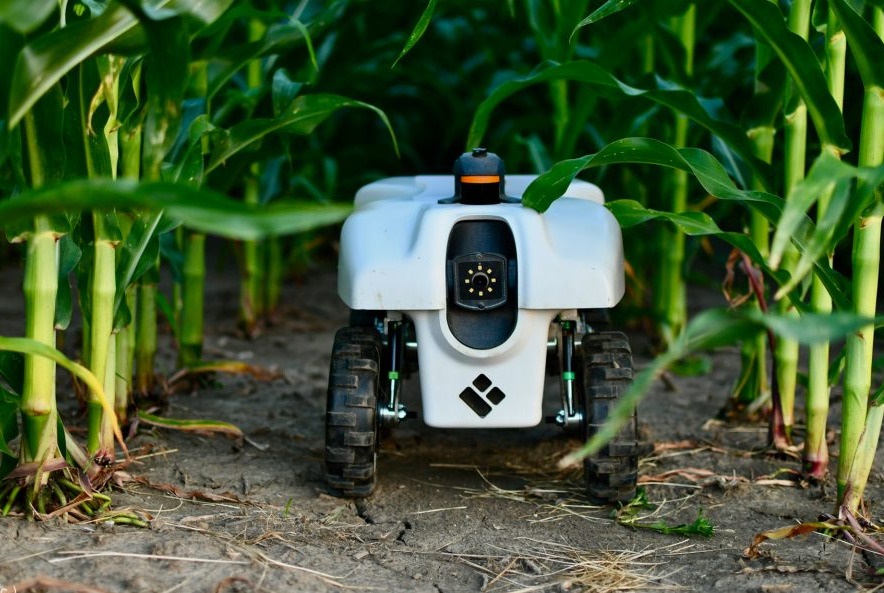 صورة المقال