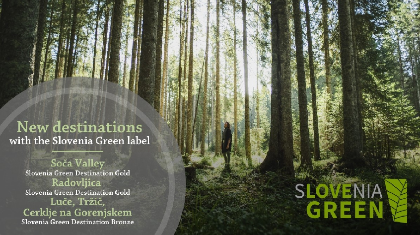 صورة المقال