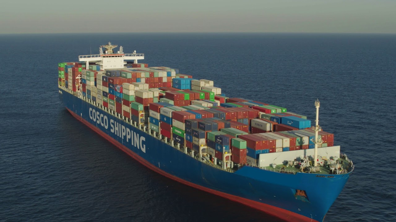 صورة المقال