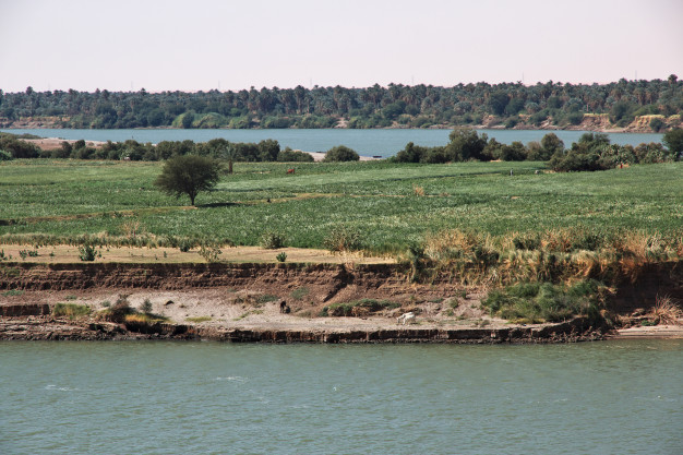 صورة المقال