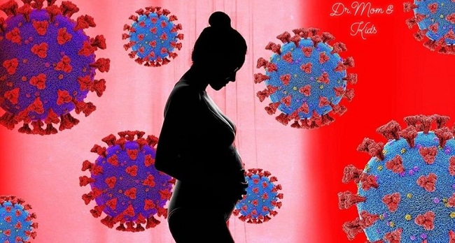 صورة المقال