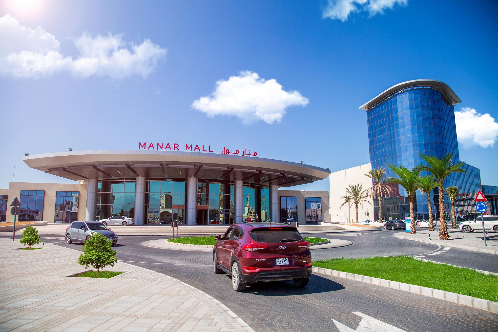 صورة المقال