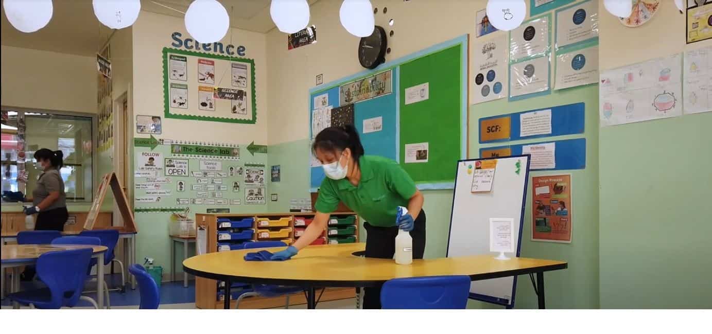 صورة المقال