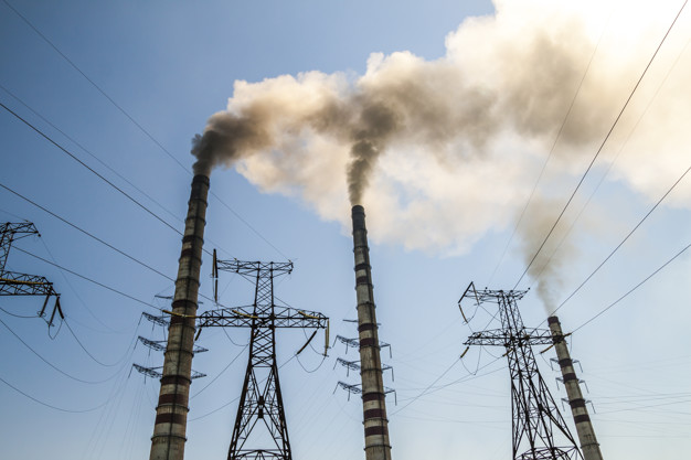 صورة المقال