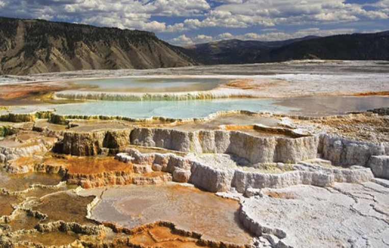 صورة المقال