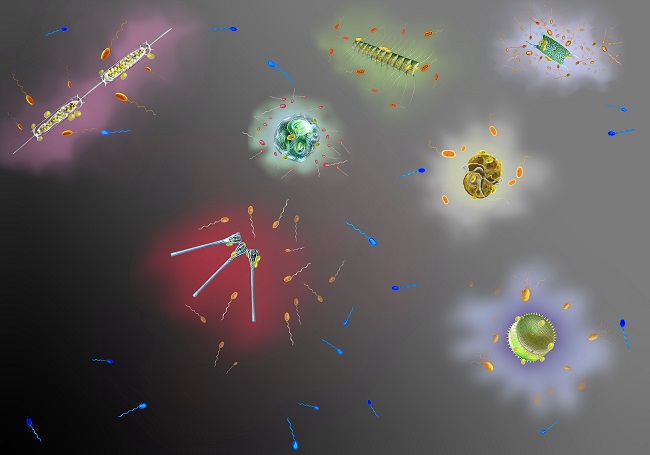 صورة المقال