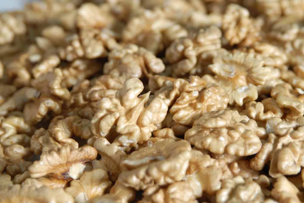 صورة المقال