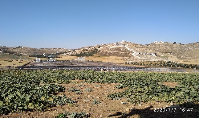 صورة المقال