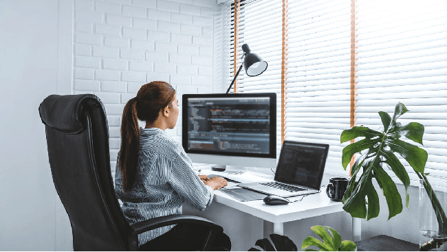 صورة المقال