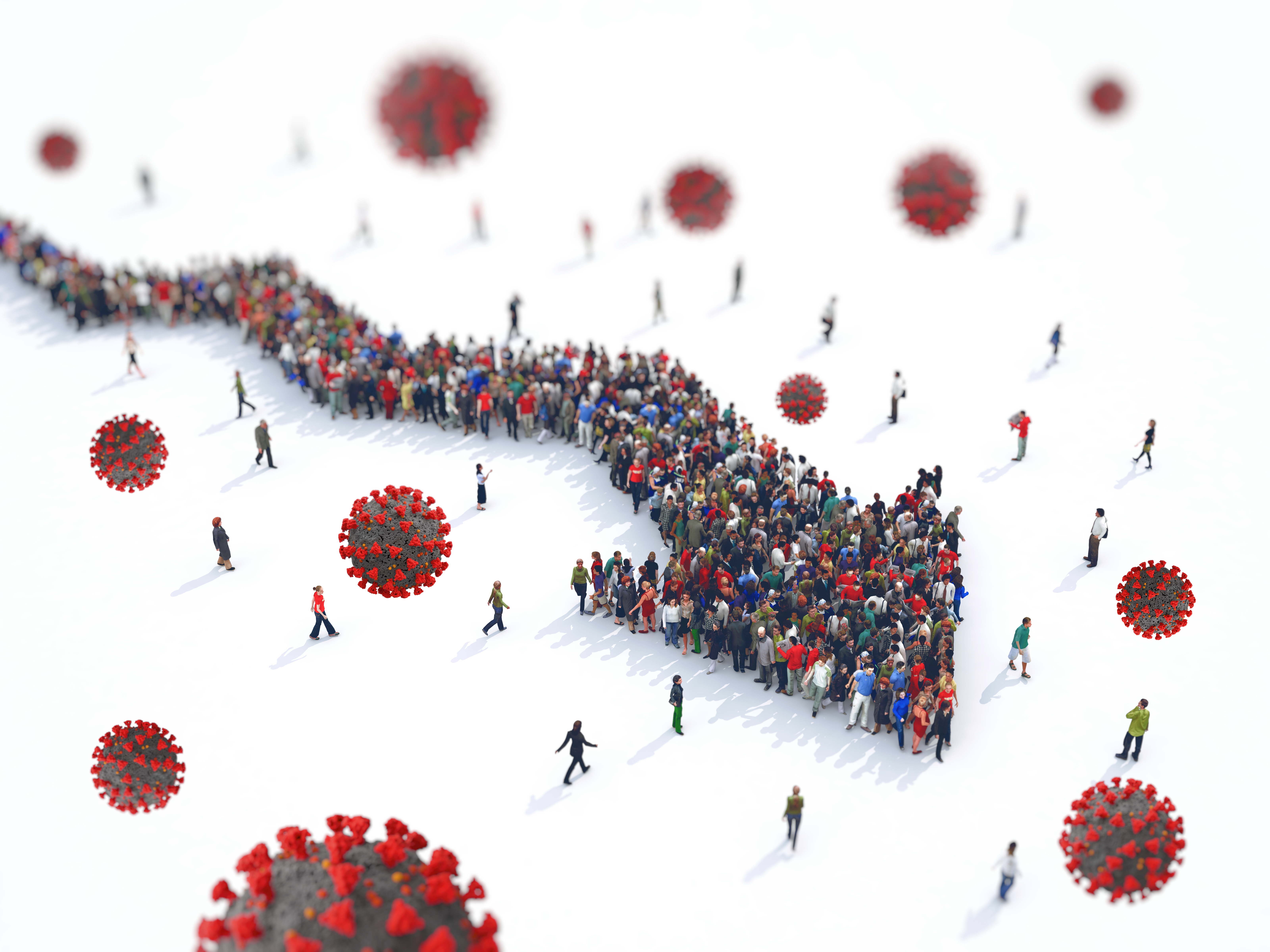 صورة المقال