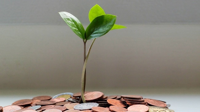 صورة المقال