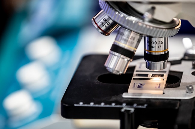 صورة المقال