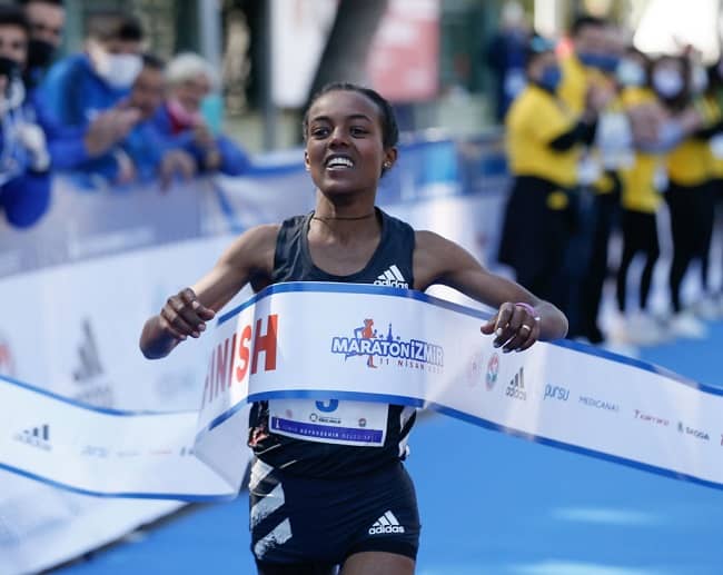 صورة المقال