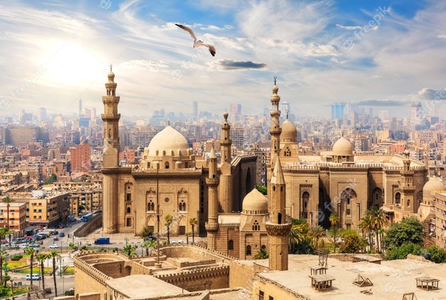 صورة المقال