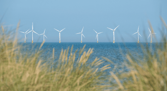 صورة المقال