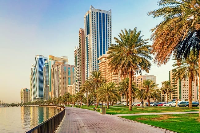 صورة المقال