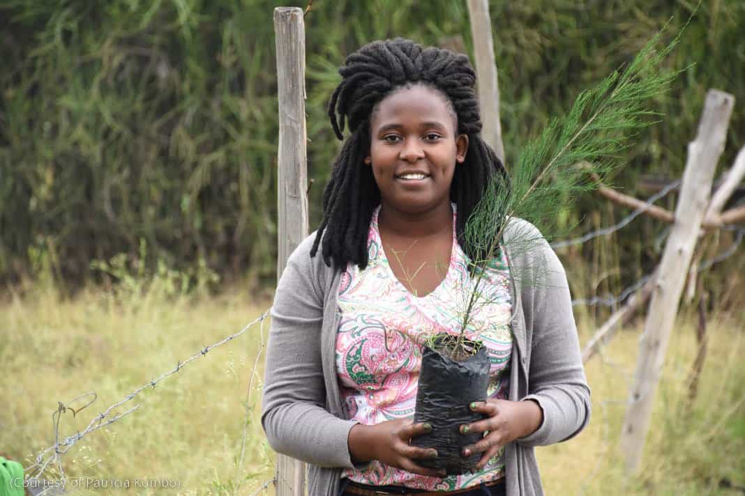 صورة المقال