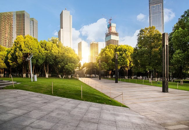 صورة المقال