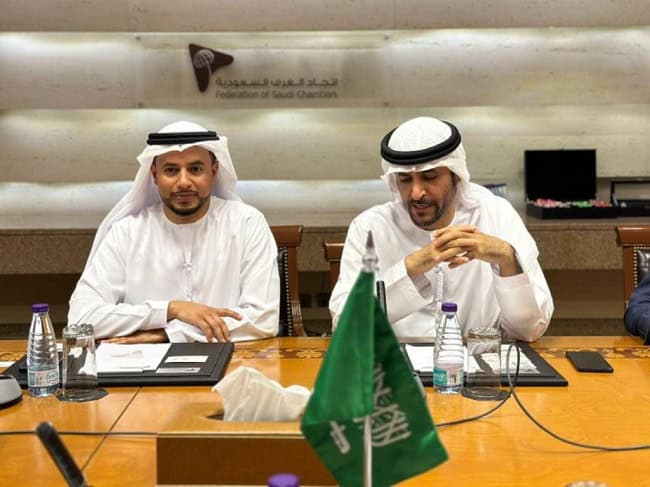 صورة المقال