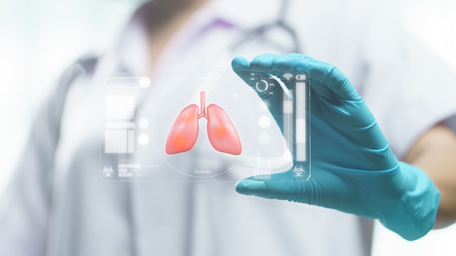 صورة المقال