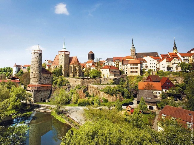 صورة المقال