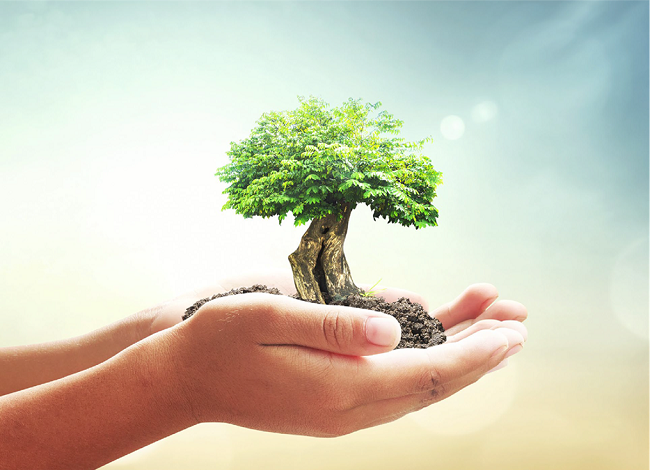 صورة المقال