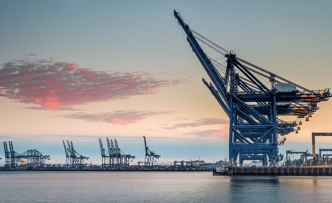 صورة المقال