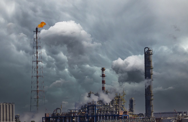 صورة المقال