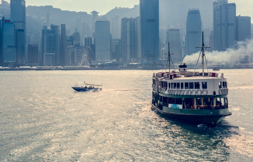 صورة المقال