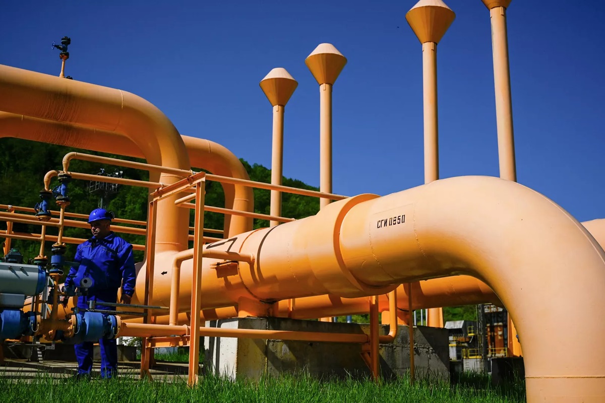 صورة المقال