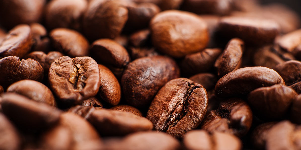 صورة المقال