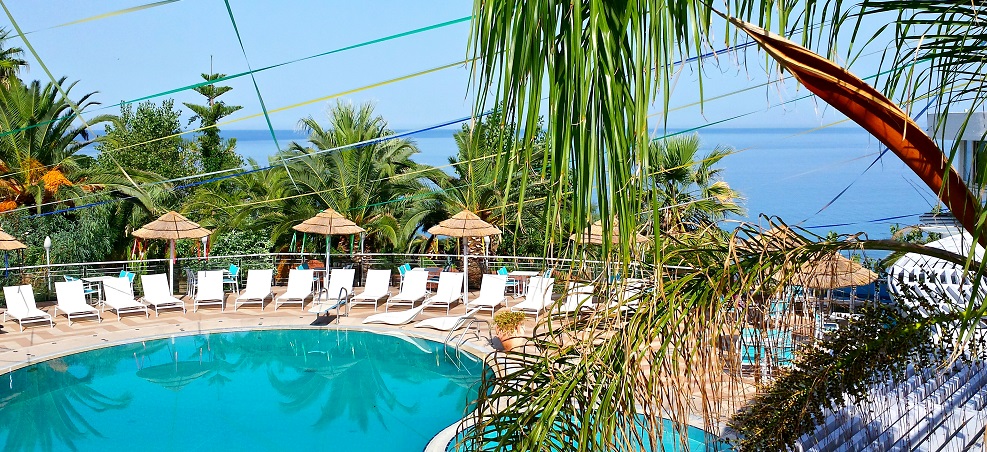 صورة المقال